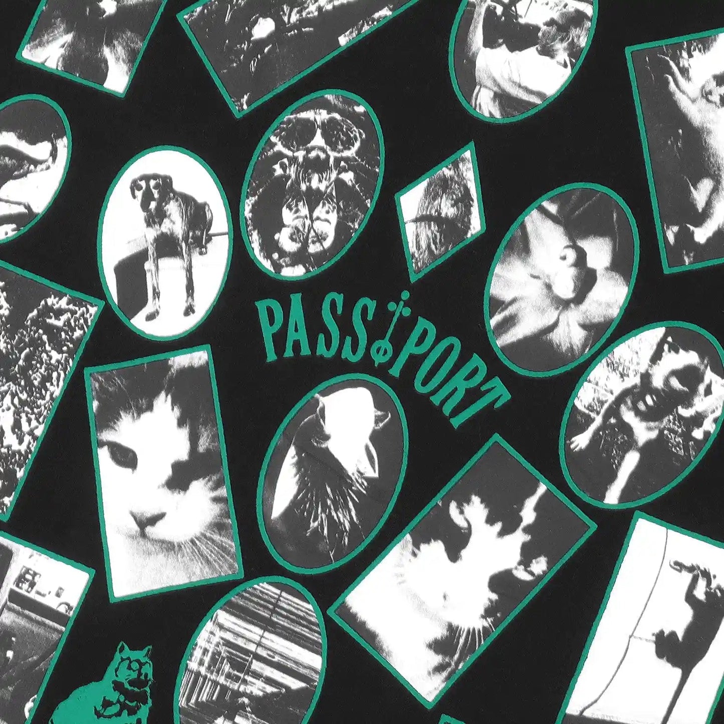 Passport Sophomore Tee, black - Tiki Room Skateboards - 5