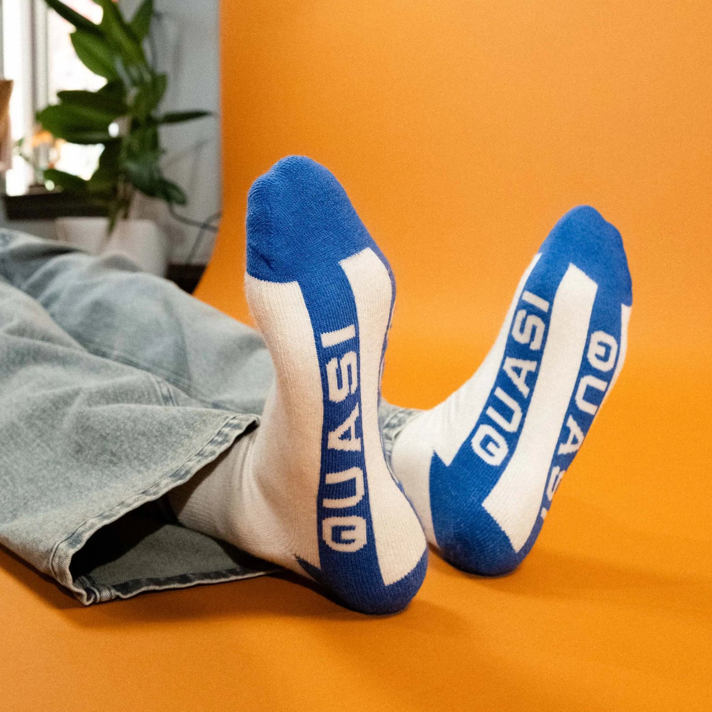 Quasi Euro Sock, cream - Tiki Room Skateboards - 3