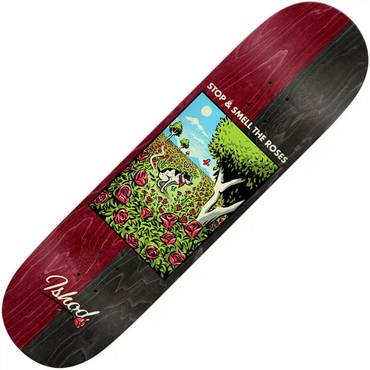 Real Ishod Bight Side Deck (8.38”) - Tiki Room Skateboards - 1