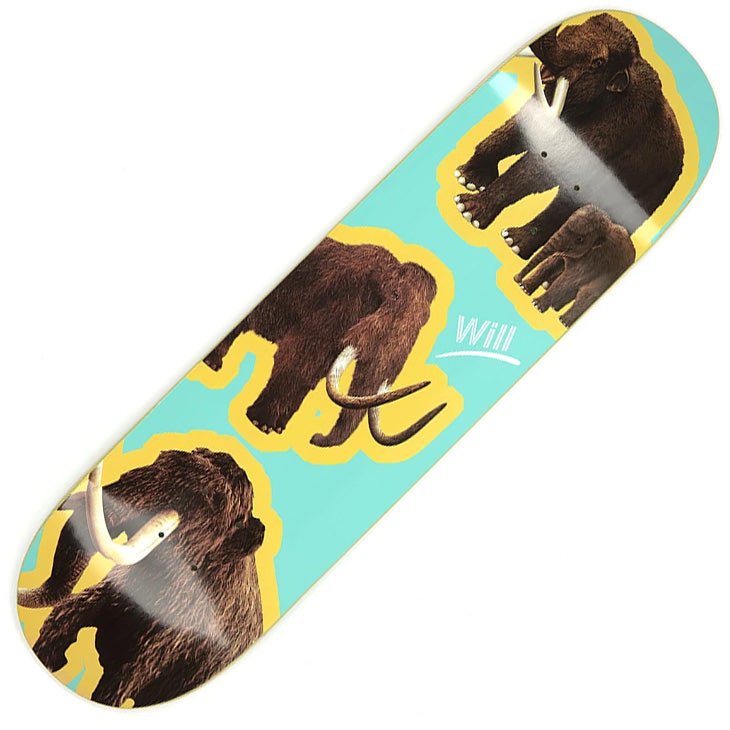 Alltimers Species Will deck (8.0) - Tiki Room Skateboards - 1