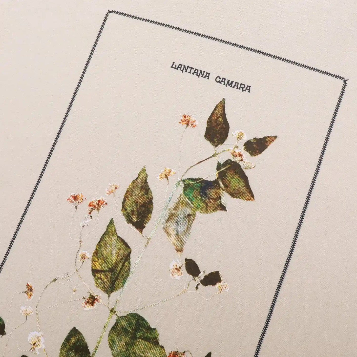 Passport Lantana Tee, natural - Tiki Room Skateboards - 4