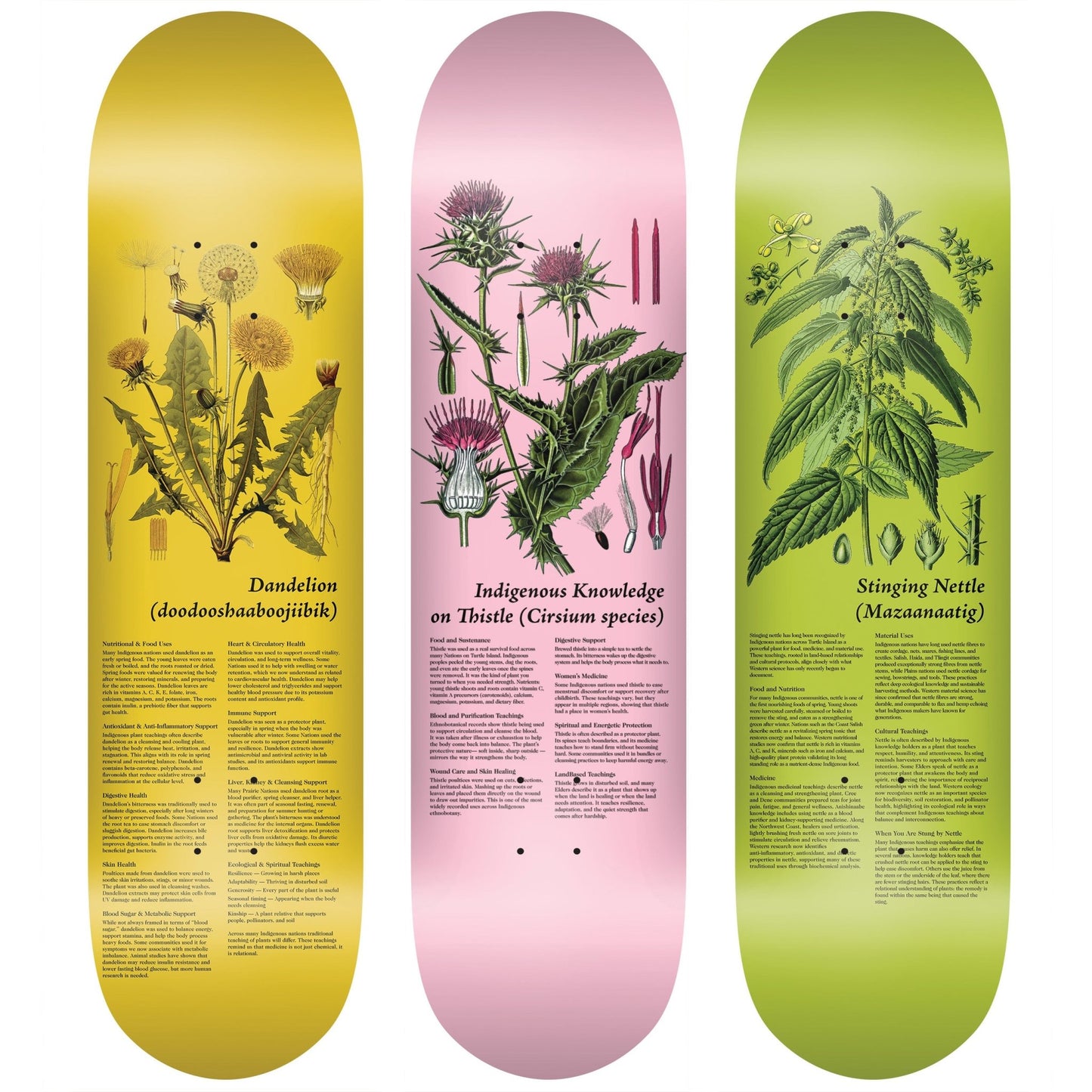 Colonialism Plant Series Decks (Set Of 3) (8.25") - Tiki Room Skateboards - 1