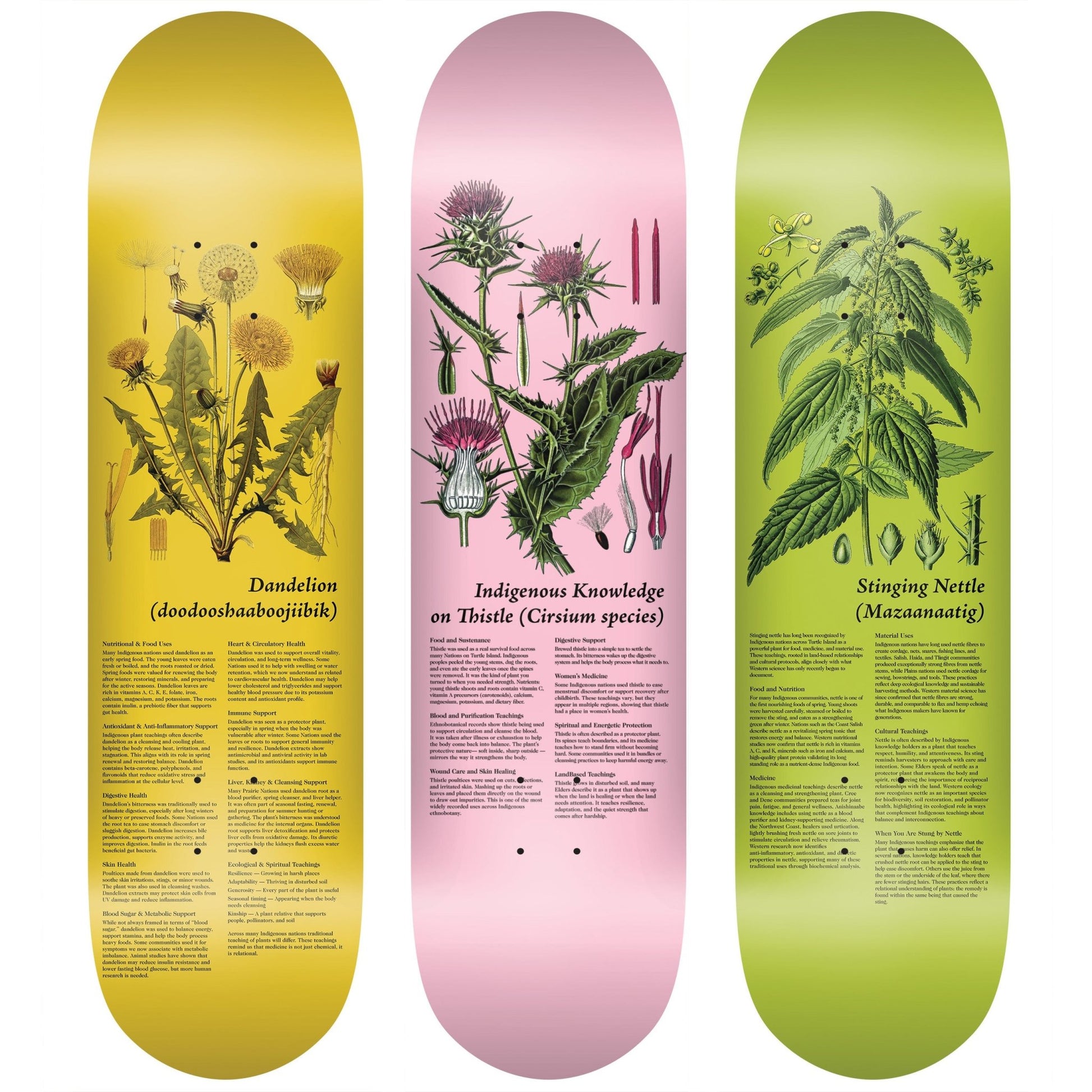 Colonialism Plant Series Decks (Set Of 3) (8.25") - Tiki Room Skateboards - 1