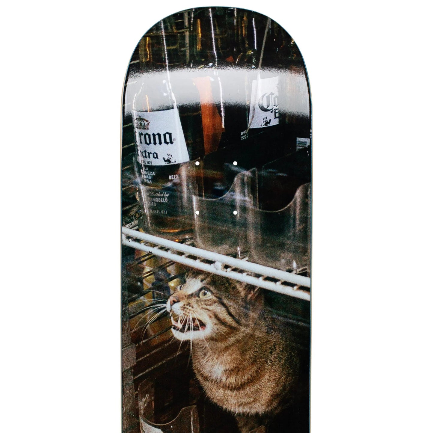 GX1000 Bodega Cat Deck (8.375") - Tiki Room Skateboards - 3