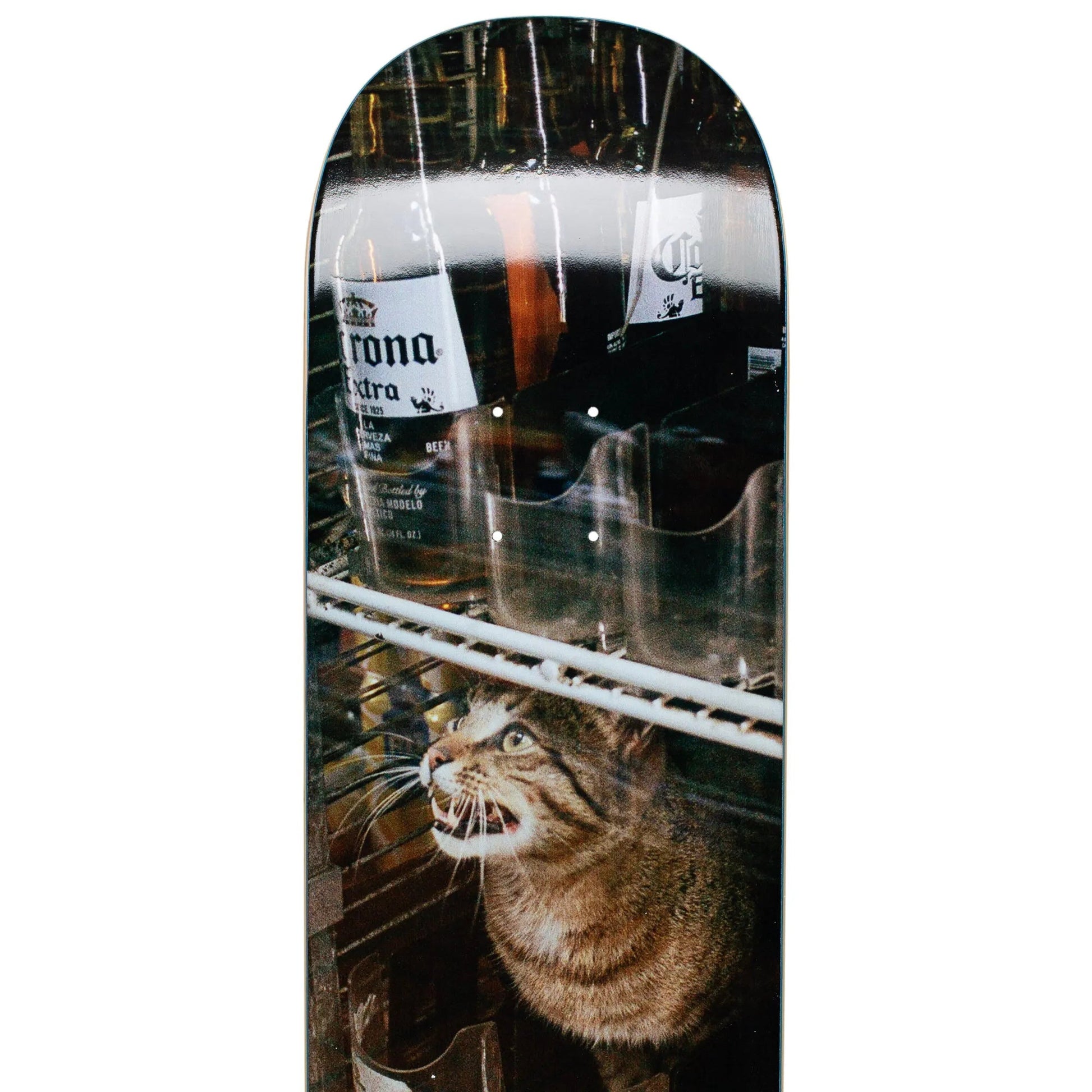 GX1000 Bodega Cat Deck (8.375") - Tiki Room Skateboards - 3