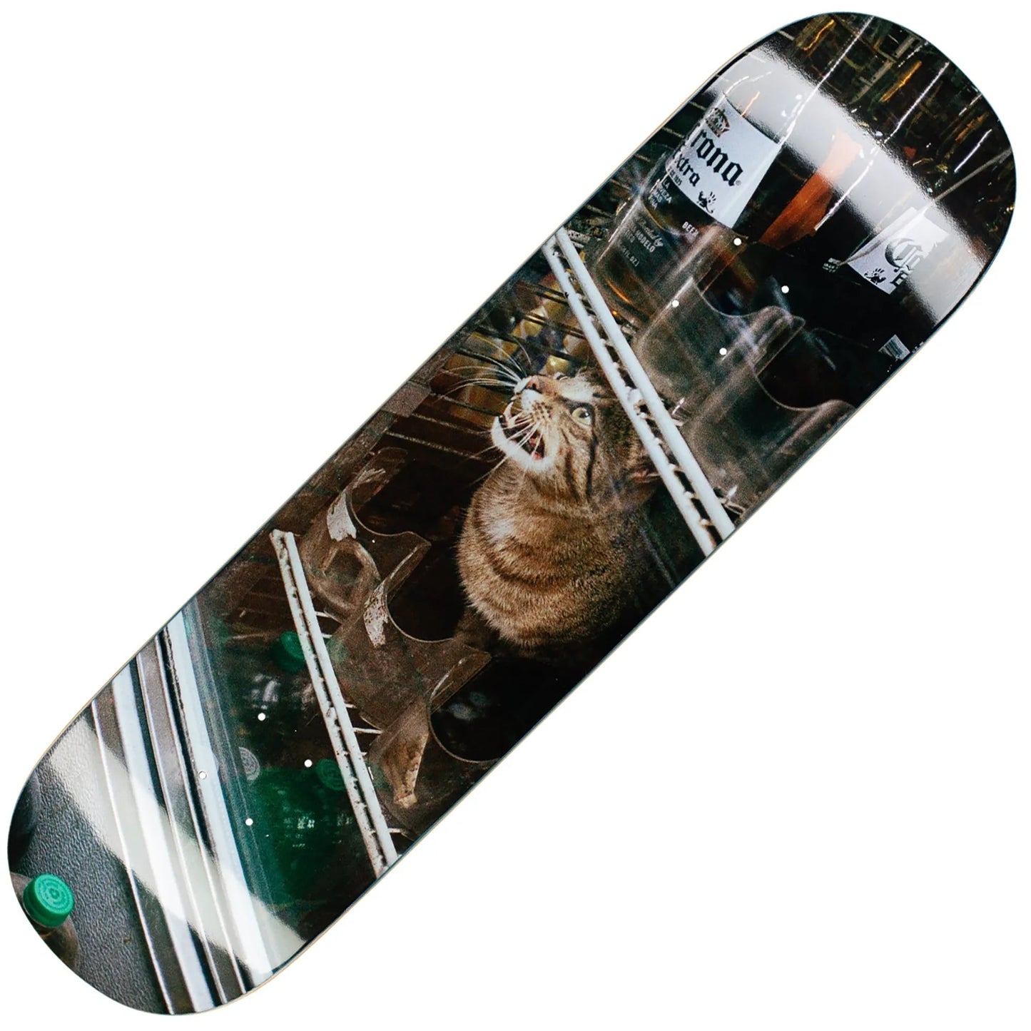 GX1000 Bodega Cat Deck (8.375") - Tiki Room Skateboards - 1