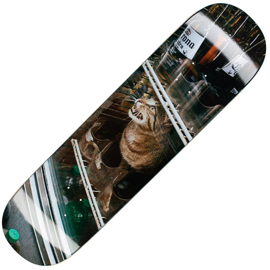 GX1000 Bodega Cat Deck (8.375") - Tiki Room Skateboards - 1