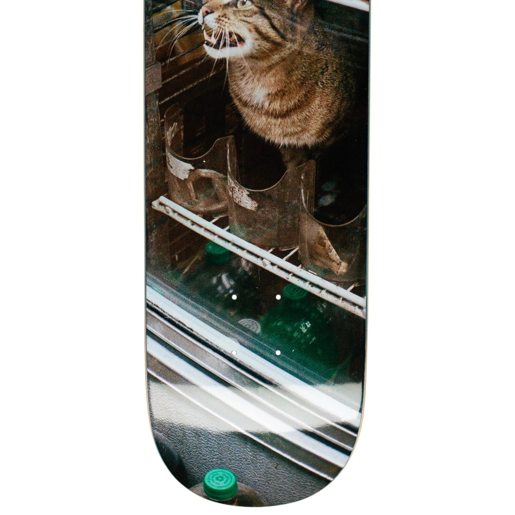 GX1000 Bodega Cat Deck (8.375") - Tiki Room Skateboards - 2