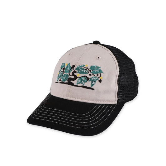 Passport Orchard Leagues Trucker, black/off white - Tiki Room Skateboards - 1