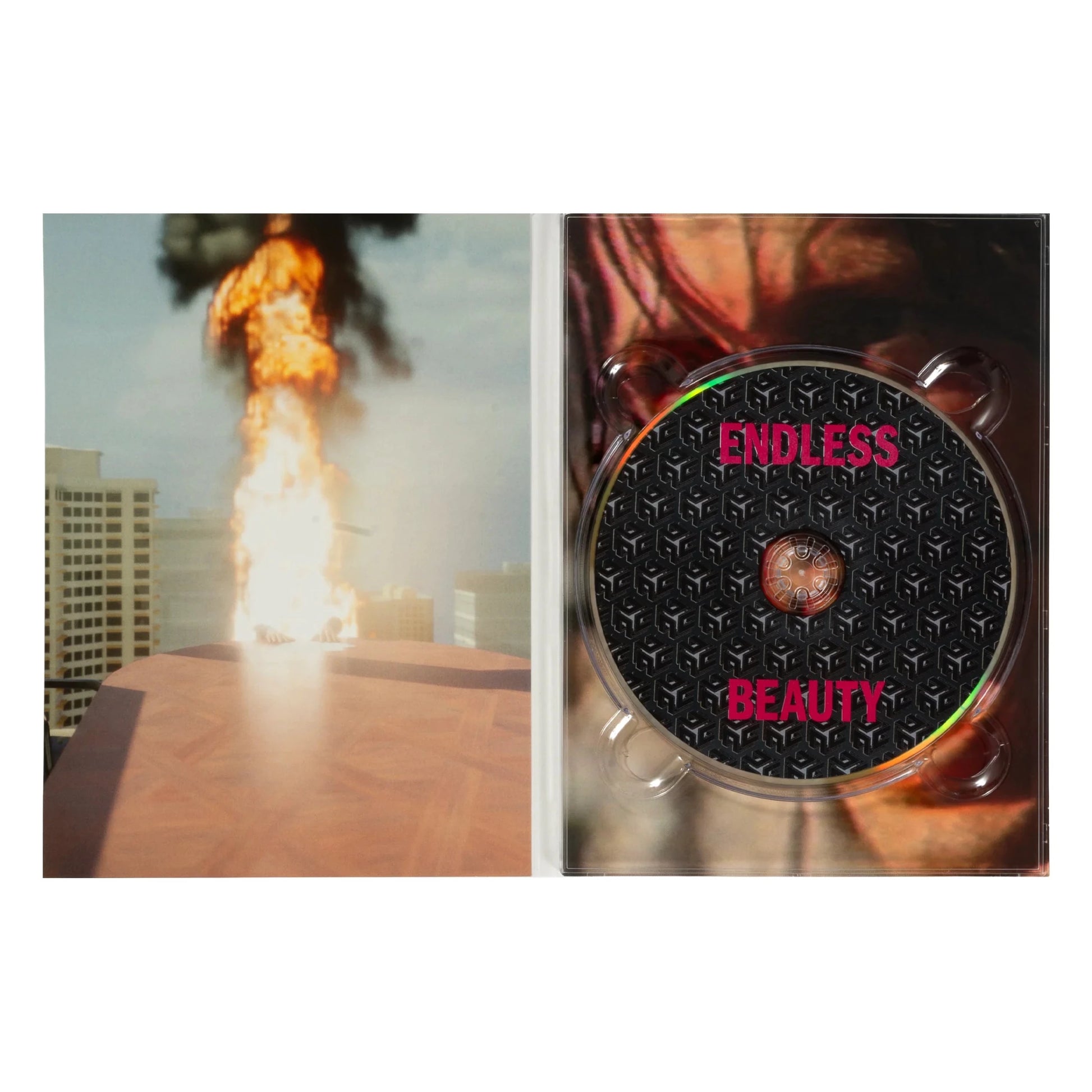 Sci - Fi Fantasy Endless Beauty DVD - Tiki Room Skateboards - 2