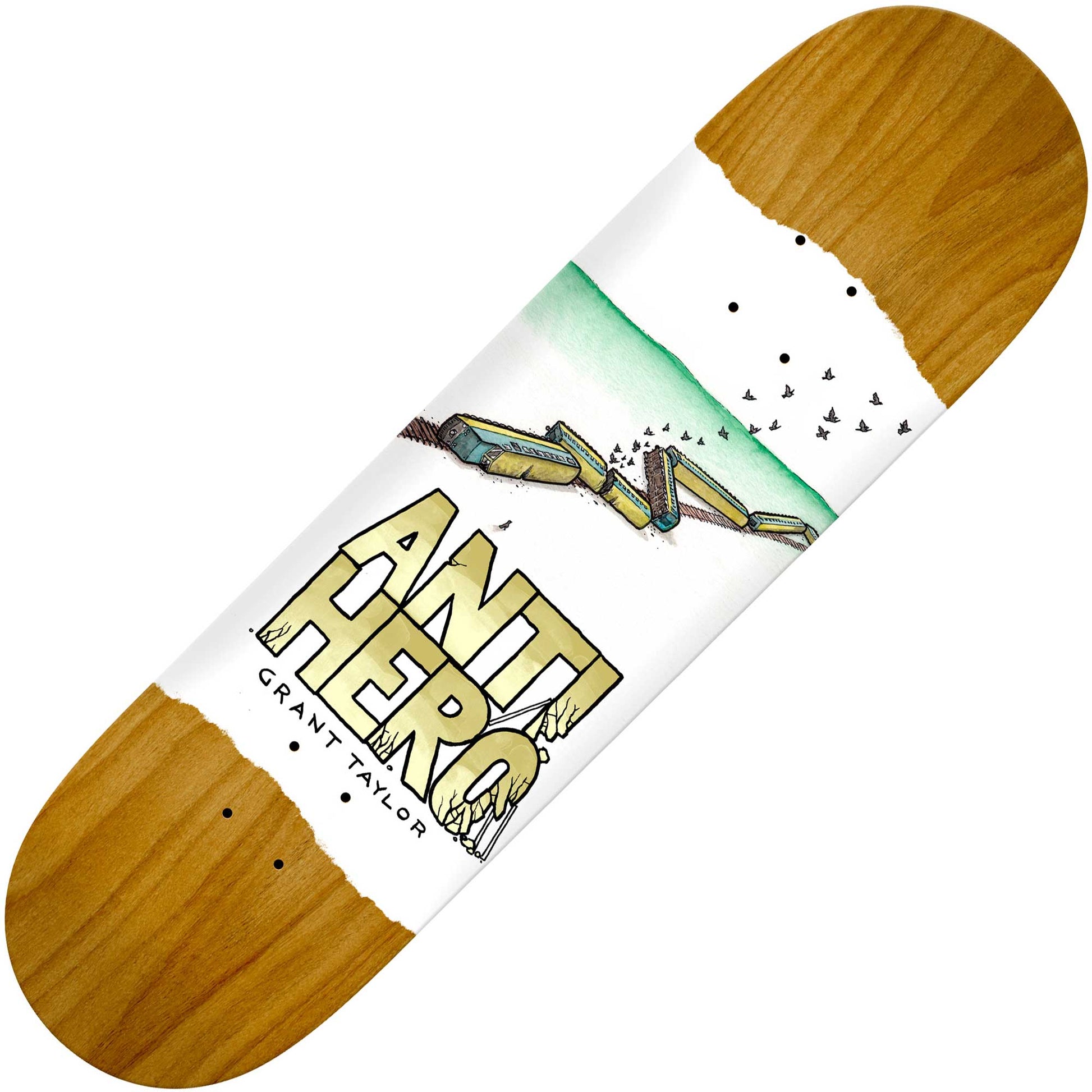 Anti Hero Grant Expressions deck (8.38") - Tiki Room Skateboards - 1