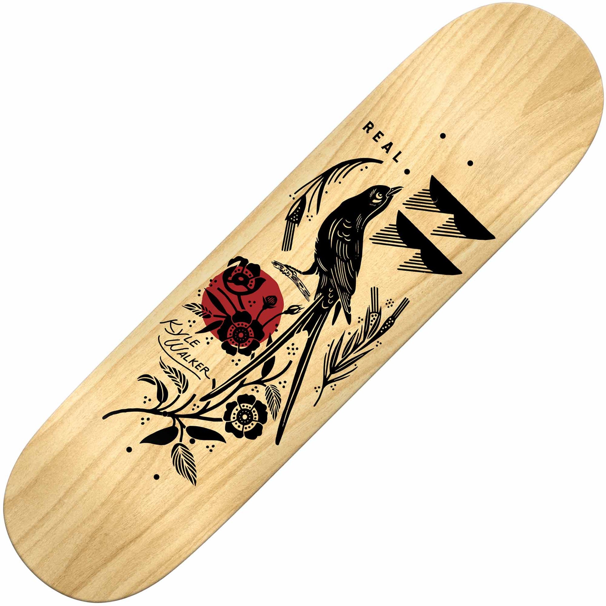 Real Kyle Mudgett Deck (8.25”) - Tiki Room Skateboards - 1