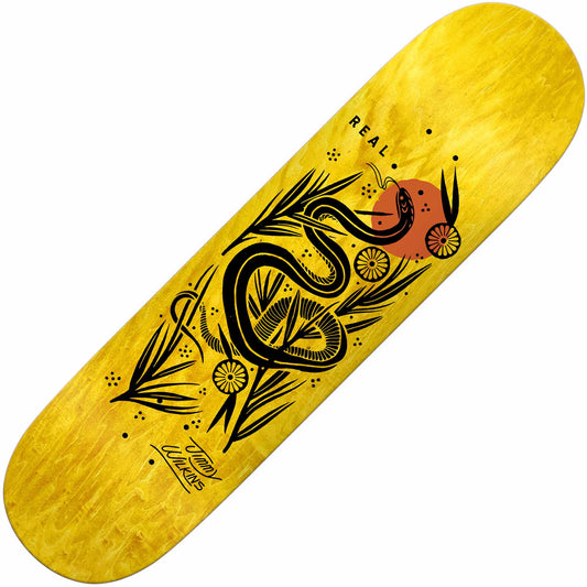 Real Wilkins Mudgett Deck (8.86”) - Tiki Room Skateboards - 1